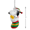 Collectable PEANUTS™ Hanging Ornament - SNOOPY & WOODSTOCK in Stocking