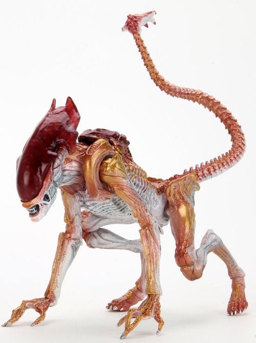 Aliens Panther Alien (Kenner Tribute) 7" Scale Action Figure - Reduction