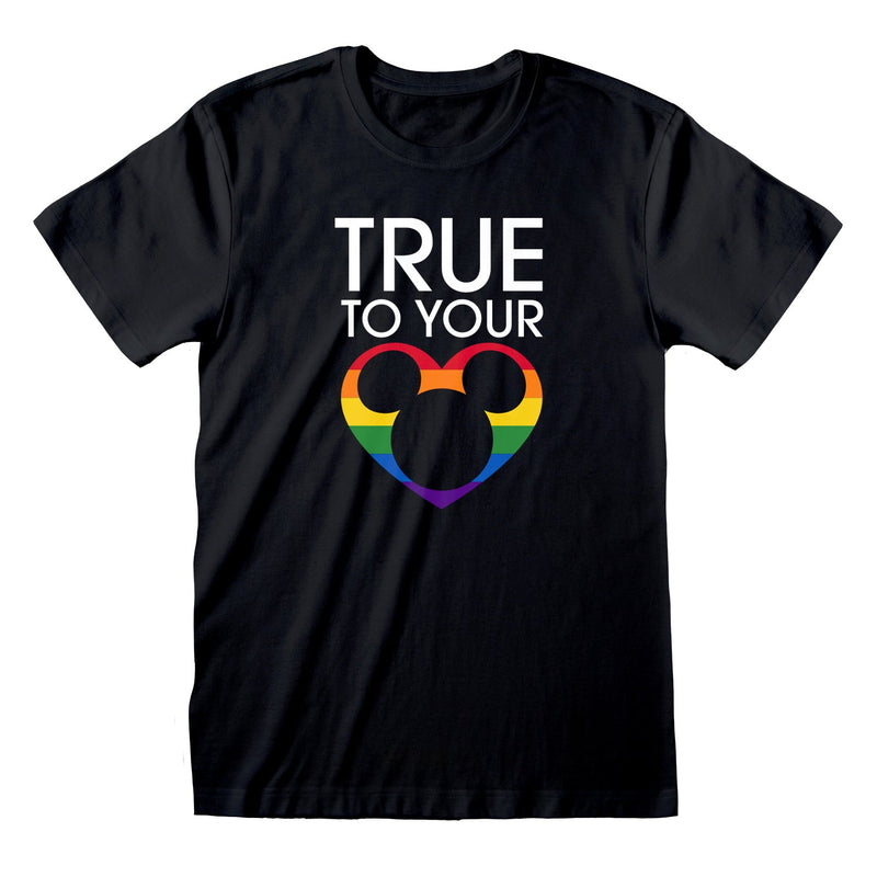 True to Your Heart Rainbow Disney Collection (With Neck Print) collectible from Heroes Inc Dropship