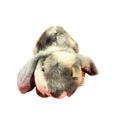 Rabbit Plush Teddy collectible from PoundFun