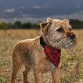Red Tartan - Dog Bandana - 4 Sizes, side angle