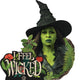 Wicked For Good Elphaba Star Mini Bundle (Multi-Function)  Cardboard Cutouts
