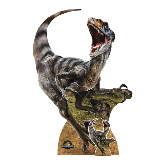Velociraptor Dinosaur Jurassic World Rebirth Cardboard Cut Out Height 144cm collectible from Star Cutouts