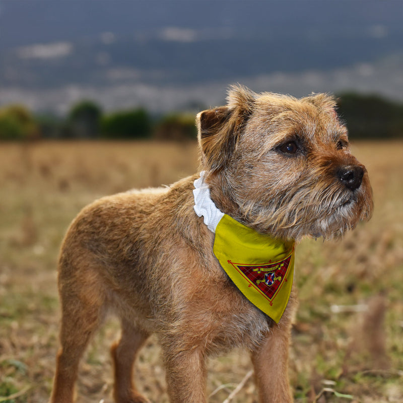 Scotland The Brave - Dog Bandana - 4 Sizes, alternate view