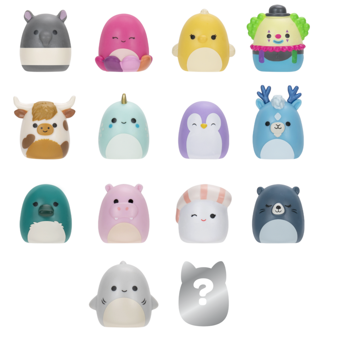 Squishmallows Series 1 Squish-A-Longs 14 Pack