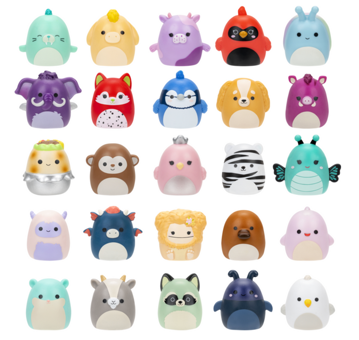 Squishmallows Series 2 Squish-A-Longs 25 Pack