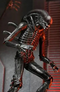 Alien: Romulus Xenomorph XX121 Ultimate 7 Scale Action Figure, packaging shot