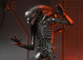 Alien: Romulus Xenomorph XX121 Ultimate 7 Scale Action Figure, size reference