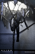 Alien: Romulus Suspended Lab Xenomorph XX121 Deluxe 7 Scale Action Figure collectible from Infinity Collectibles 2026
