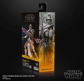 Star Wars The Black Series MagnaGuard 6" Action Figure, close-up detail