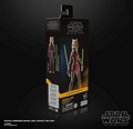 Star Wars The Black Series Ahsoka Tano (Padawan) 6" Action Figure, close-up detail