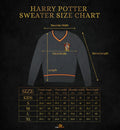 Harry Potter Gryffindor V-Neck House Sweater, rear view