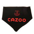 Everton FC 2 Pack Bibs, side angle