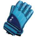 Tottenham Hotspur FC Delta Goalkeeper Gloves Yths collectible from Infinity Collectibles 2026