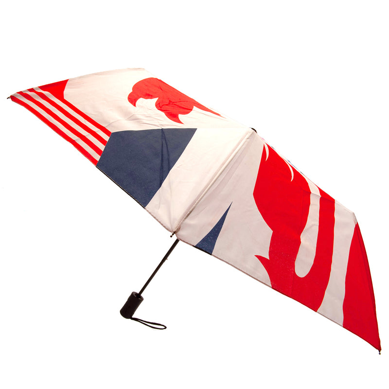 England FA Umbrella, alternate view