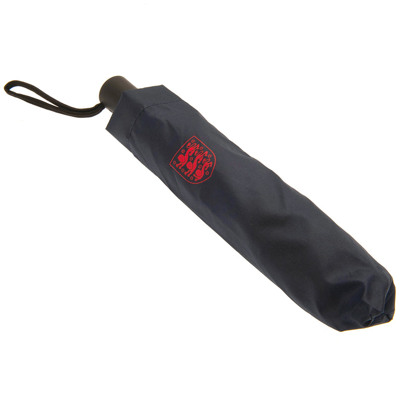 England FA Umbrella, side angle