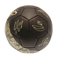 Tottenham Hotspur FC Sig Gold Phantom Skill Ball, side angle