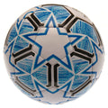 UEFA Champions League Skyfall Football, side angle
