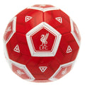 Liverpool FC Hex Size 3 Football, side angle