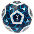 Tottenham Hotspur FC Hex Size 3 Football, side angle