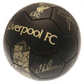 Liverpool FC Sig Gold Phantom Football, alternate view