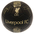 Liverpool FC Sig Gold Phantom Football collectible from Infinity Collectibles 2026