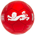 England FA Sig Red Phantom Football, side angle