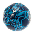 Tottenham Hotspur FC 4 inch Soft Ball, alternate view