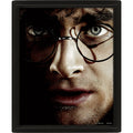 Harry Potter Framed 3D Picture, alternate view