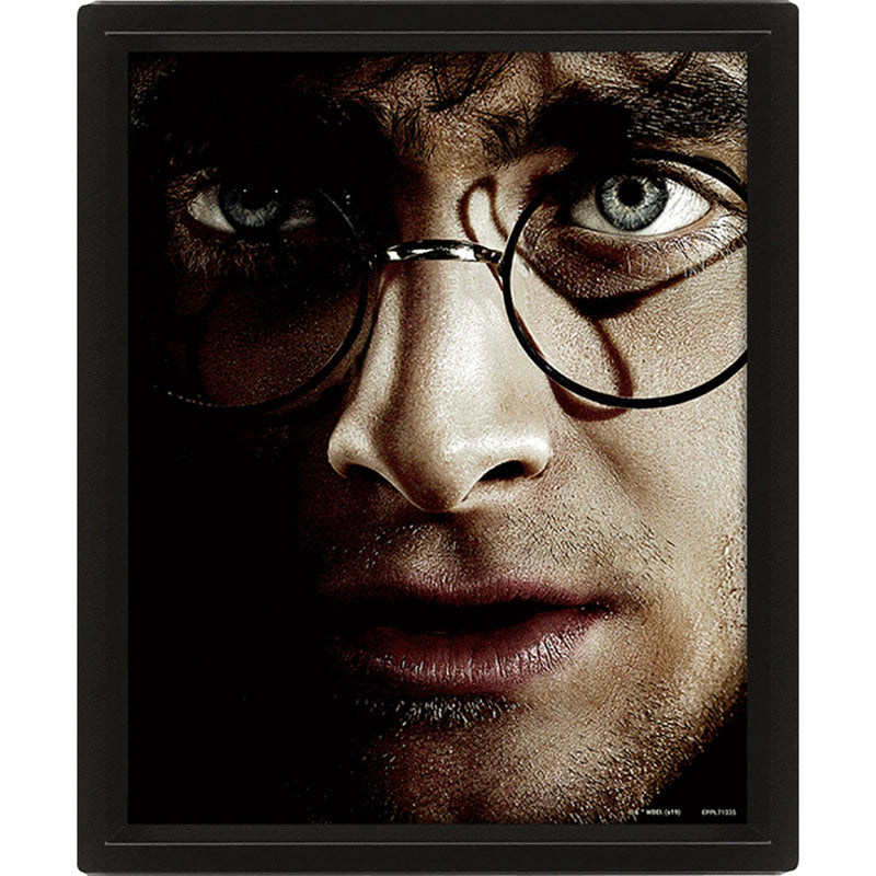Harry Potter Framed 3D Picture, alternate view