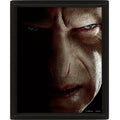 Harry Potter Framed 3D Picture, side angle