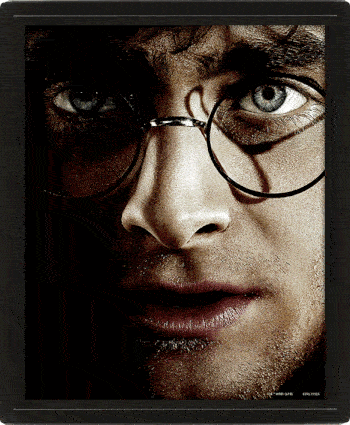 Harry Potter Framed 3D Picture collectible from Infinity Collectibles 2026