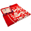 England FA Towel, alternate view