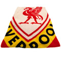 Liverpool FC This Is Anfield Fleece Blanket, alternate view