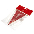 Liverpool FC Triangular Mini Pennant, side angle