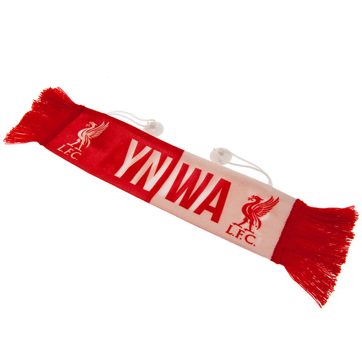 Liverpool Mini Liverbird Car Scarf