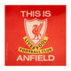 Liverpool FC TIA Car Sticker