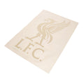 Liverpool FC Liverbird A4 Car Decal, alternate view