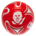 England Lionesses Football, side angle