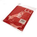 Nottingham Forest FC Crest Flag, close-up detail