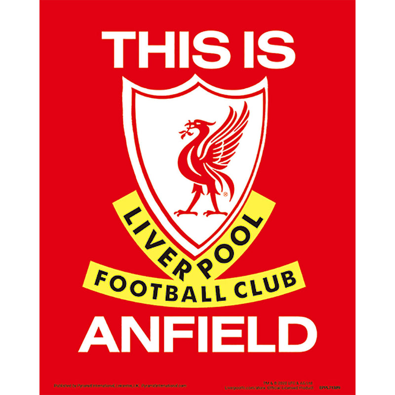 Liverpool FC 3D Print, alternate view