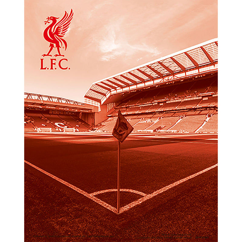 Liverpool FC 3D Print, side angle