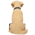 Newcastle United FC Labrador Gnome, side angle