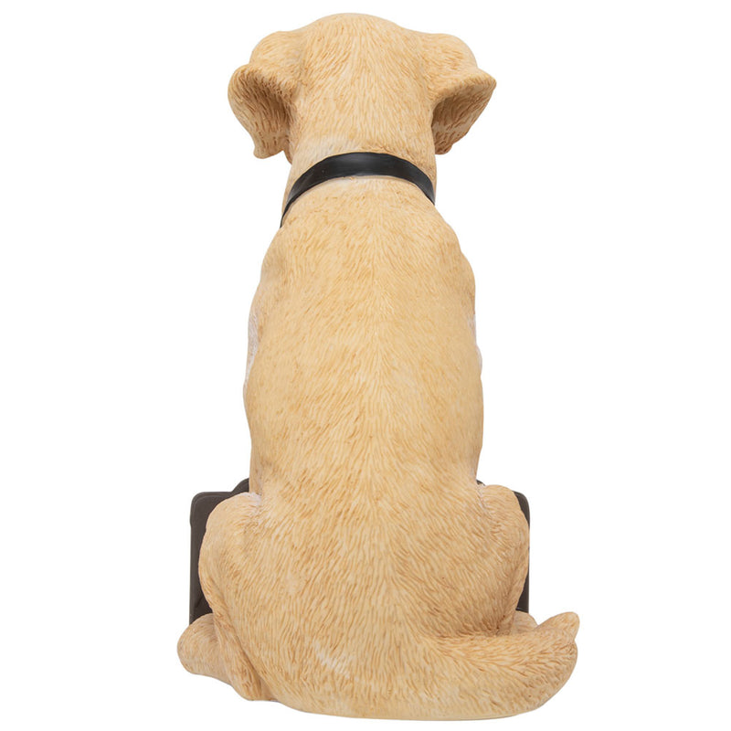 Newcastle United FC Labrador Gnome, side angle