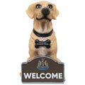 Newcastle United FC Labrador Gnome collectible from Infinity Collectibles 2026