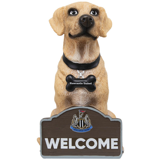 Newcastle United FC Labrador Gnome collectible from Infinity Collectibles 2026
