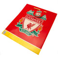 Liverpool FC Colour Gift Bag, close-up detail