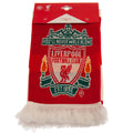 Liverpool FC Bar Scarf, close-up detail