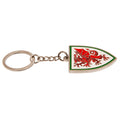 FA Wales Crest Keyring, alternate view