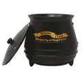 Harry Potter Self Stirring Cauldron Mug collectible from Infinity Collectables 2026